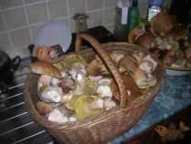 foto/diskuze/privlac/2006/th-img8785.jpg