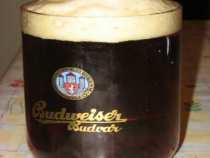 foto/diskuze/privlac/2007/th-img11302.jpg