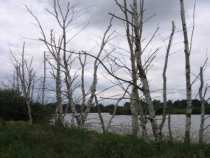 foto/diskuze/privlac/2007/th-img12879.jpg