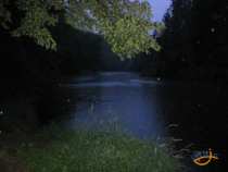 foto/diskuze/privlac/2007/th-img13069.jpg