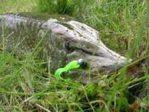 foto/diskuze/privlac/2007/th-img13965.jpg