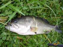 foto/diskuze/privlac/2007/th-img14048.jpg