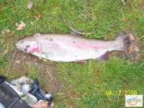 foto/diskuze/privlac/2008/th-img17477.jpg
