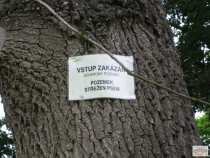 foto/diskuze/privlac/2008/th-img18609.jpg