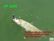 foto/diskuze/privlac/2008/th-img21488.jpg