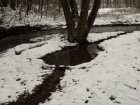 foto/diskuze/privlac/2009/th-img22367.jpg