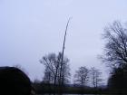 foto/diskuze/privlac/2009/th-img29399.jpg