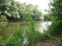 foto/diskuze/privlac/2010/th-img35749.jpg