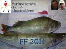 foto/diskuze/privlac/2010/th-img39847.jpg