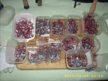 foto/diskuze/privlac/2011/th-img40905.jpg