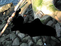 foto/diskuze/privlac/2011/th-img41277.jpg
