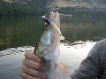 foto/diskuze/privlac/2011/th-img42302.jpg