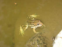 foto/diskuze/privlac/2011/th-img43532.jpg