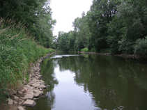 foto/diskuze/privlac/2011/th-img43533.jpg
