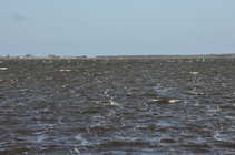 foto/diskuze/privlac/2011/th-img45537.jpg