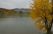 foto/diskuze/privlac/2011/th-img45765.jpg
