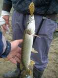 foto/diskuze/privlac/2011/th-img46481.jpg