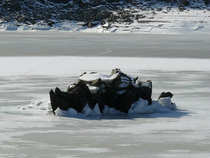 foto/diskuze/privlac/2012/th-img47254.jpg