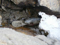 foto/diskuze/privlac/2012/th-img47257.jpg