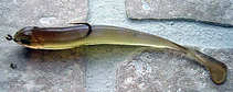 foto/diskuze/privlac/2012/th-img50993.jpg