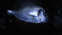foto/diskuze/privlac/2012/th-img51367.jpg
