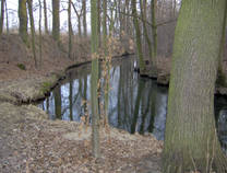 foto/diskuze/privlac/2013/th-img97196.jpg