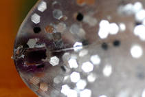 foto/diskuze/privlac/2013/th-img97321.jpg
