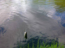 foto/diskuze/privlac/2013/th-img98928.jpg