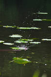 foto/diskuze/privlac/2013/th-img99346.jpg