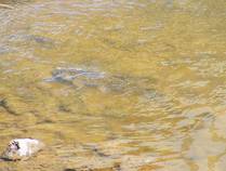 foto/diskuze/privlac/2015/th-img114203.jpg