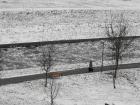 foto/diskuze/slovensko/2009/th-img29655.jpg