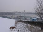 foto/diskuze/slovensko/2009/th-img29683.jpg