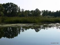 foto/diskuze/slovensko/2010/th-img38147.jpg
