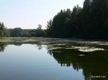 foto/diskuze/slovensko/2010/th-img38148.jpg