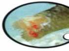 foto/diskuze/sumcarina/2005/th-img10569.jpg