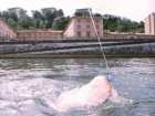 foto/diskuze/sumcarina/2005/th-img1745.jpg