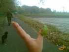 foto/diskuze/sumcarina/2007/th-img12912.jpg