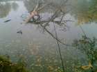 foto/diskuze/sumcarina/2007/th-img12944.jpg