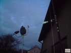 foto/diskuze/sumcarina/2008/th-img21268.jpg