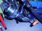foto/diskuze/sumcarina/2009/th-img22443.jpg