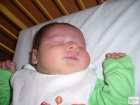 foto/diskuze/sumcarina/2009/th-img22699.jpg