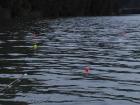 foto/diskuze/sumcarina/2009/th-img27342.jpg