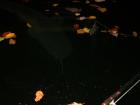 foto/diskuze/sumcarina/2009/th-img27478.jpg