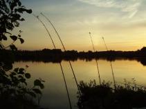 foto/diskuze/sumcarina/2010/th-img39090.jpg