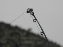 foto/diskuze/sumcarina/2011/th-img40325.jpg