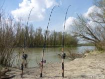 foto/diskuze/sumcarina/2011/th-img41032.jpg