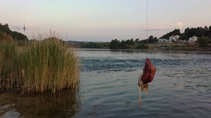 foto/diskuze/sumcarina/2011/th-img42202.jpg