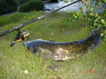 foto/diskuze/sumcarina/2011/th-img42910.jpg