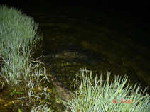 foto/diskuze/sumcarina/2011/th-img43227.jpg