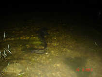 foto/diskuze/sumcarina/2011/th-img43228.jpg